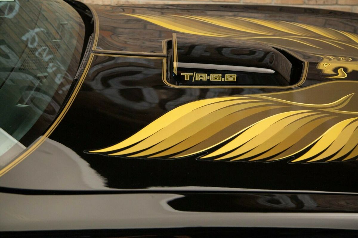 1979 Pontiac Trans Am Special Edition - photo 10