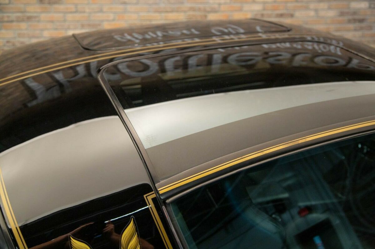 1979 Pontiac Trans Am Special Edition - photo 11