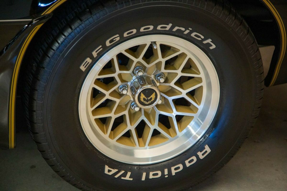 1979 Pontiac Trans Am Special Edition - photo 13