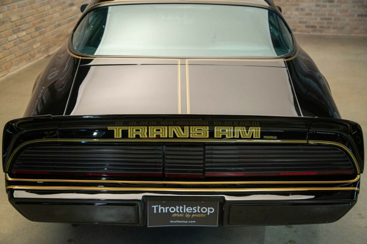1979 Pontiac Trans Am Special Edition - photo 7