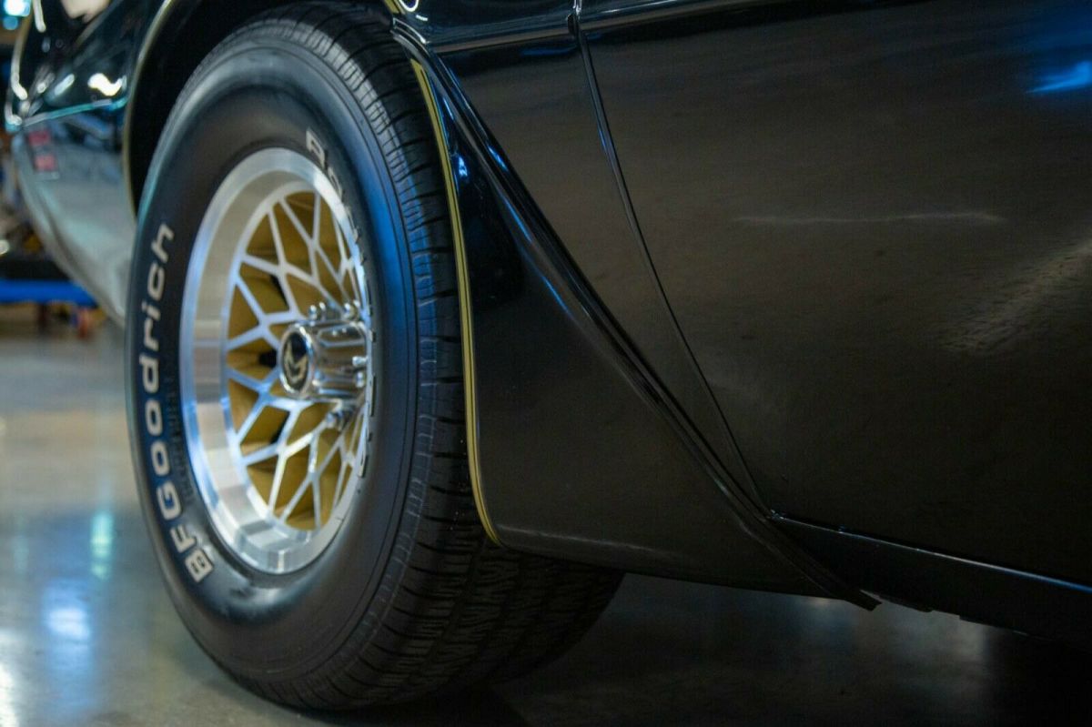 1979 Pontiac Trans Am Special Edition - photo 9