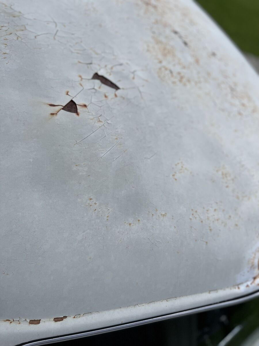 1951 Studebaker Champion Starlight - photo 9