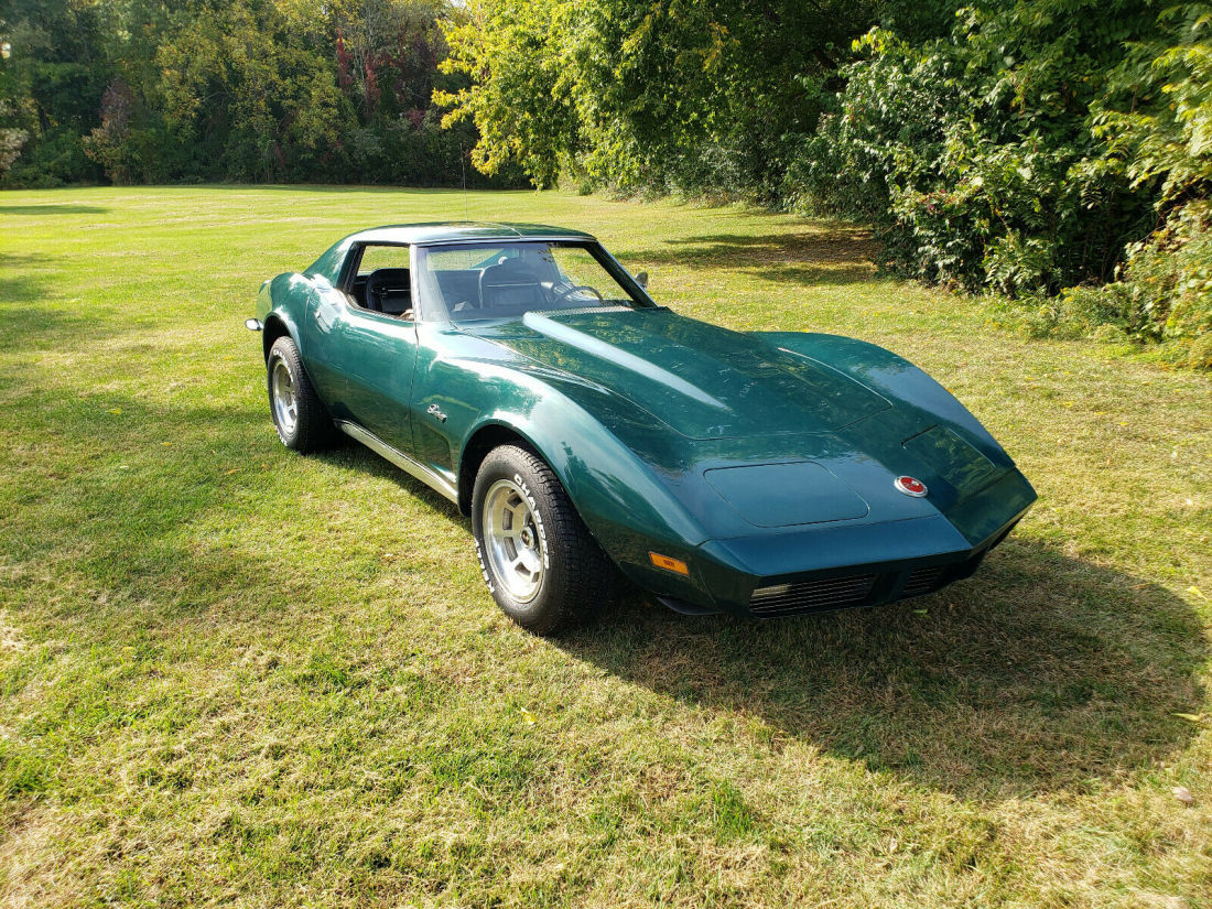 1973 Chevrolet Corvette Deluxe Leather - photo 3