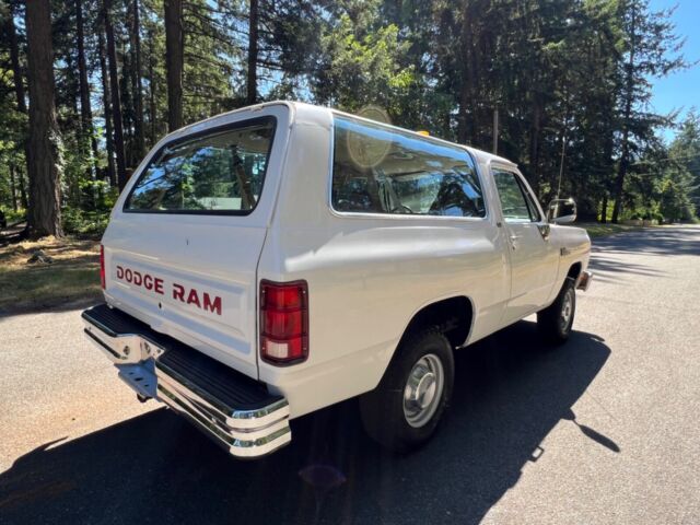 1991 Dodge Ramcharger - photo 10
