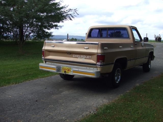1986 Chevrolet C-10 Scottsdale - photo 7