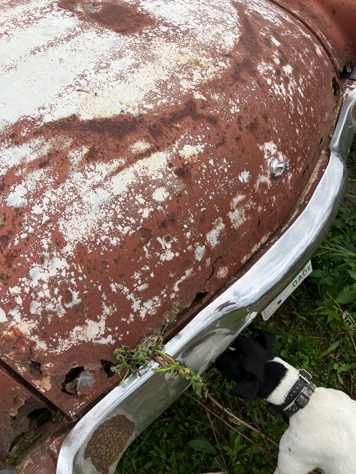 1958 Studebaker packard hawk - photo 10