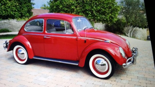 Stunning 1966 Frame to Headliner Restored VW Beetle! 1966 Volkswagen Beetle - Classic Mint!