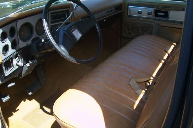 1979 Chevrolet C-10 SILVERADO - photo 13
