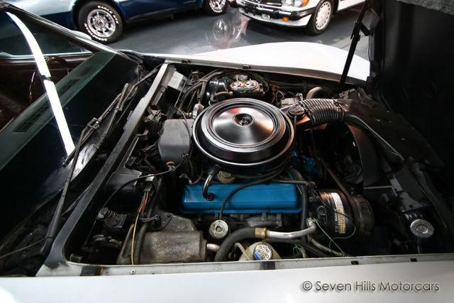 1978 Chevrolet Corvette Silver Anniversary Edition - photo 10