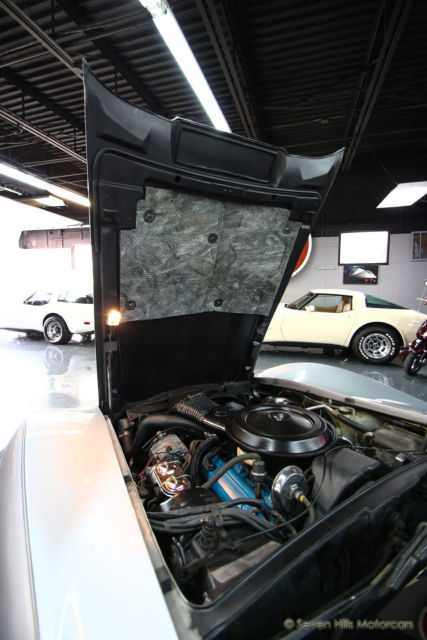 1978 Chevrolet Corvette Silver Anniversary Edition - photo 11