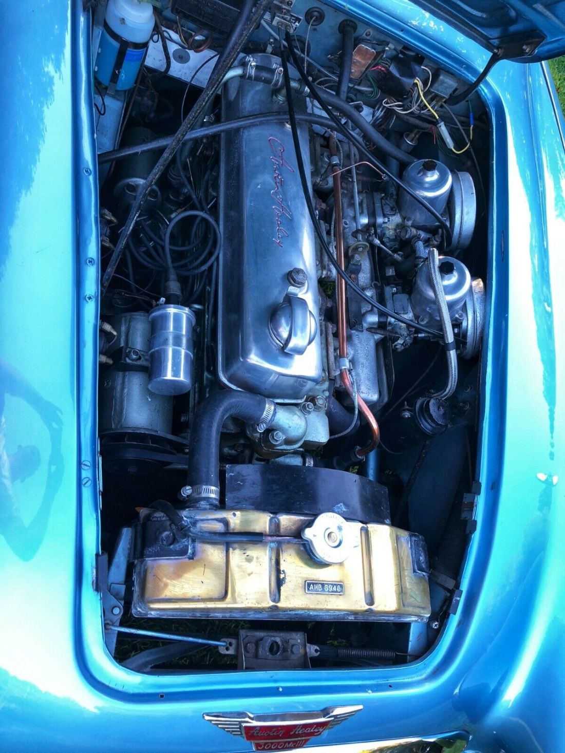 1966 Austin Healey 3000 BJ8 - photo 5
