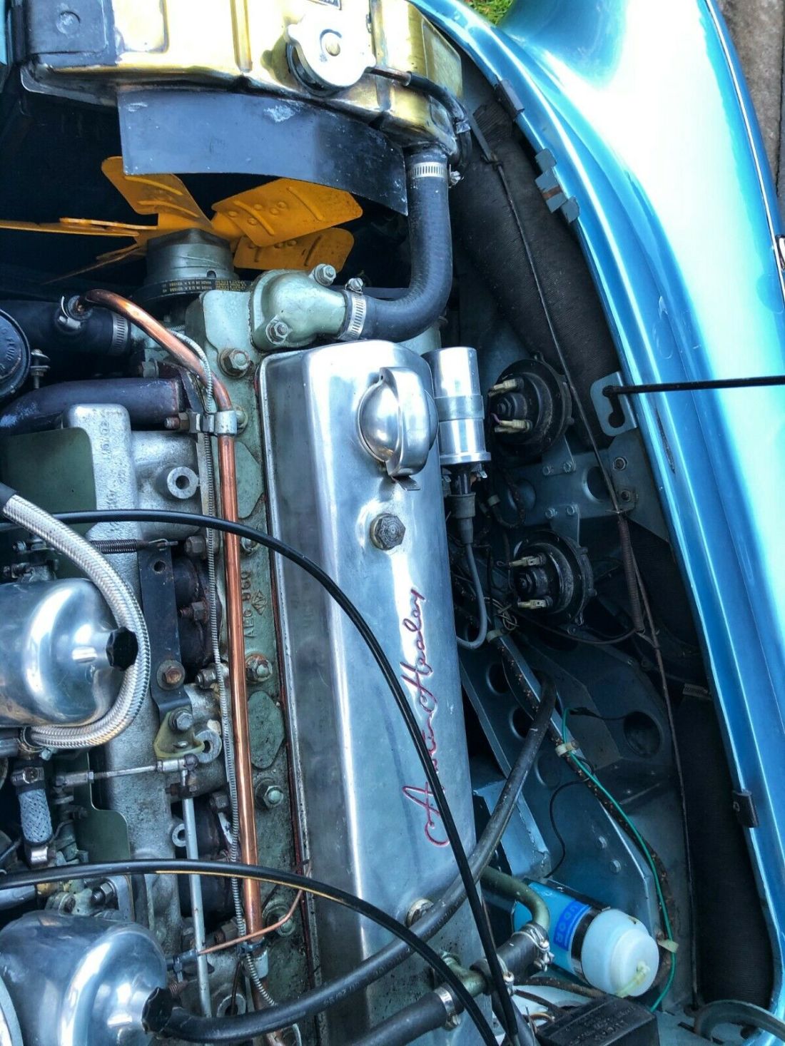 1966 Austin Healey 3000 BJ8 - photo 6