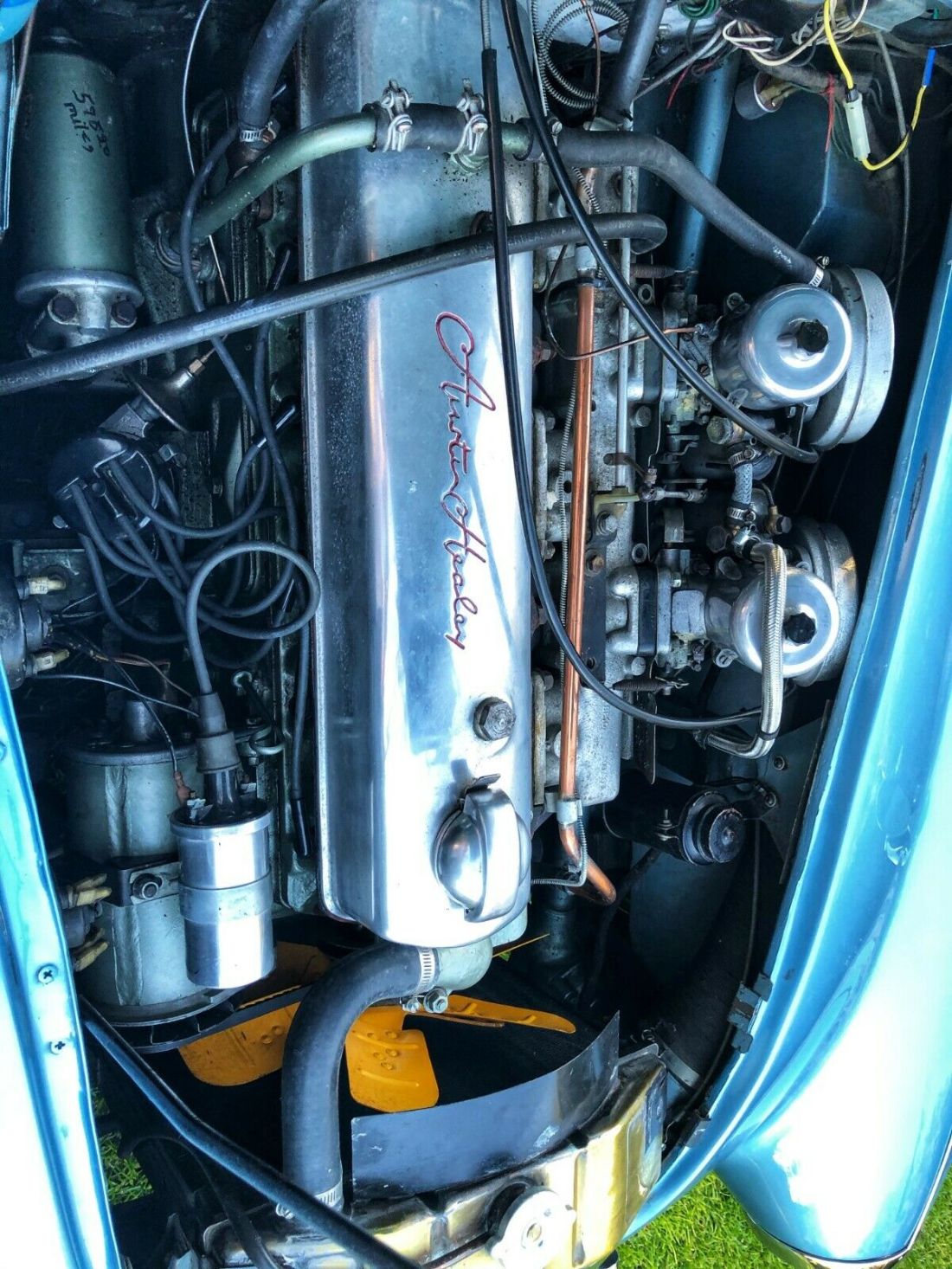 1966 Austin Healey 3000 BJ8 - photo 7