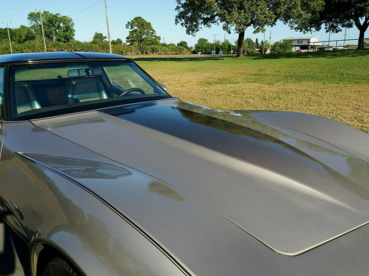 1982 Chevrolet Corvette Collectors Edition - photo 11