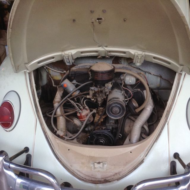 1964 Volkswagen Beetle - Classic Sedan - photo 4