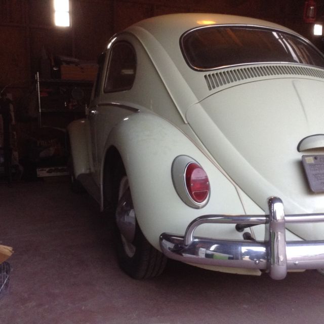 1964 Volkswagen Beetle - Classic Sedan - photo 9