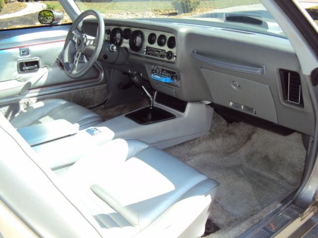 1979 Pontiac Trans Am 10th Anniversary - photo 13