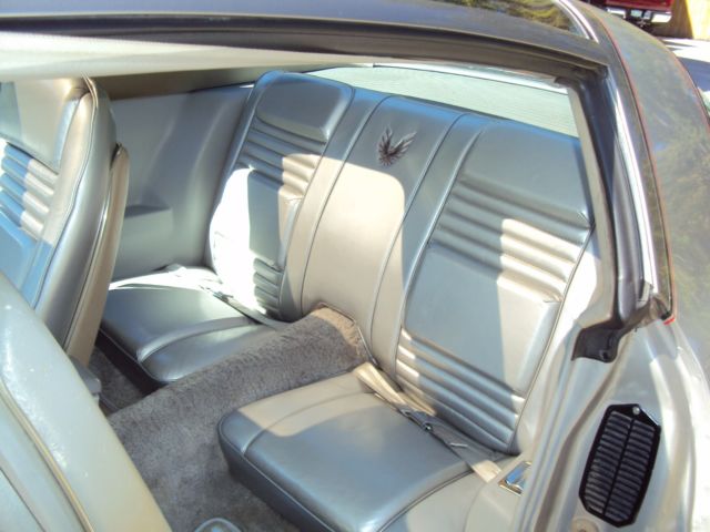 1979 Pontiac Trans Am 10th Anniversary - photo 9