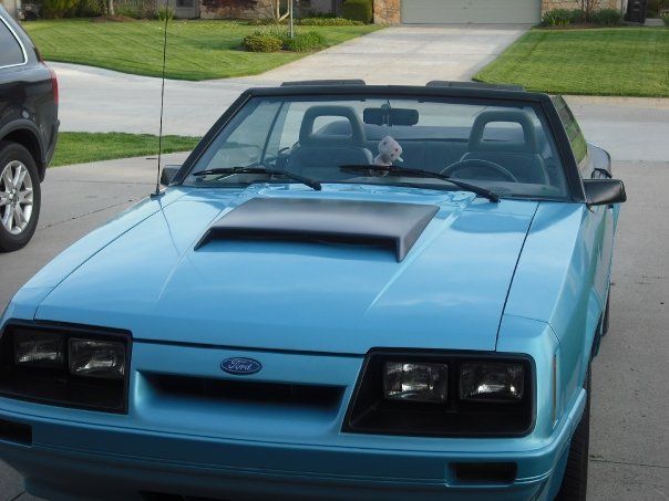 Super Clean, Award Winning 1985 Ford Mustang 5.0 Convertible 1985 Ford Mustang LX