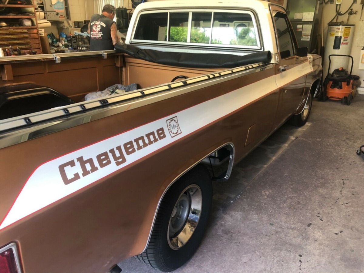 1979 Chevrolet C-10 - photo 2