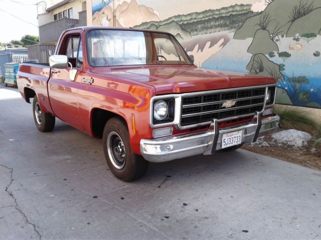 1978 Chevrolet C-10 Cheyenne Super 10 - photo 2