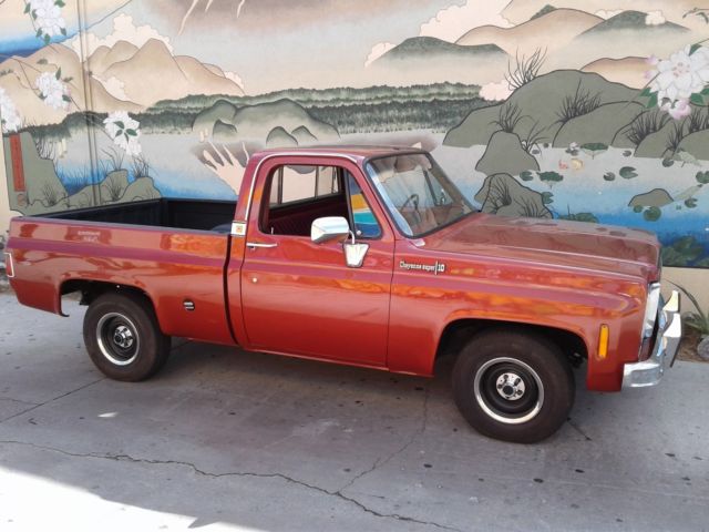 1978 Chevrolet C-10 Cheyenne Super 10 - photo 3