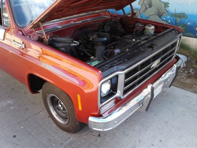 1978 Chevrolet C-10 Cheyenne Super 10 - photo 8