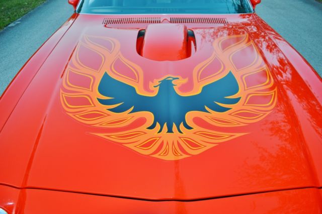 1973 Pontiac Trans Am POSSIBLY ONE OF THE BEST ORIGINAL CARS - photo 8