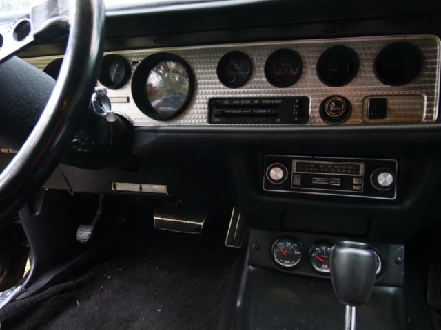 1978 Pontiac Trans Am - photo 11