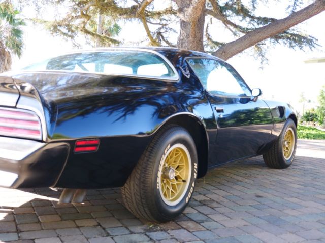 1978 Pontiac Trans Am - photo 13