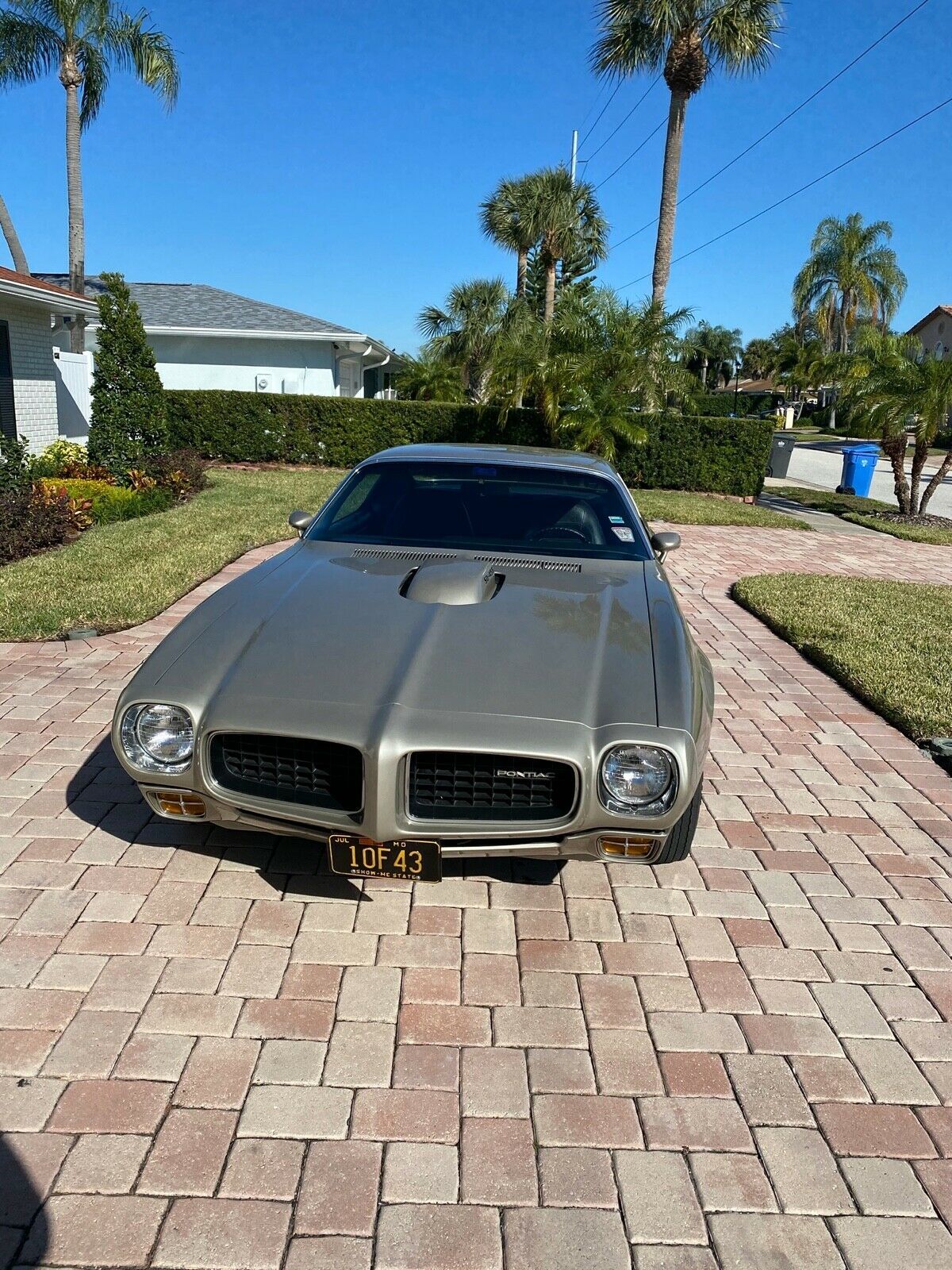 1973 Pontiac Firebird - photo 3