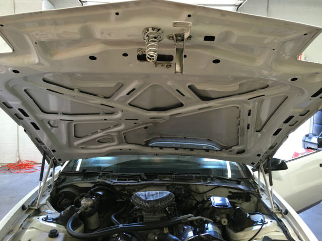 1982 Pontiac Trans Am - photo 9