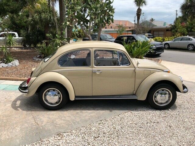 1969 Volkswagen Beetle - Classic - photo 3