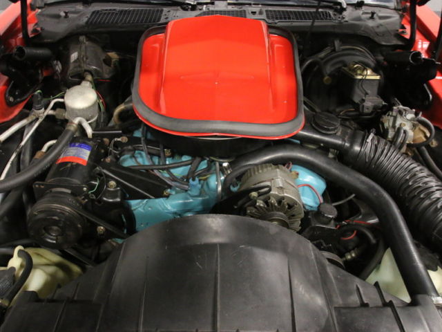 1977 Pontiac Firebird Trans Am - photo 4