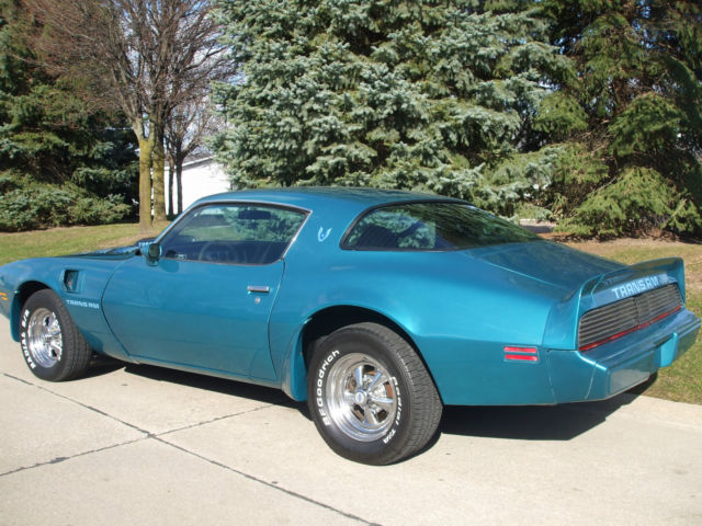 1979 Pontiac Trans Am FIREBIRD - photo 9