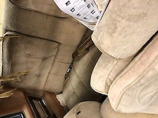 1979 Buick Regal Limited - photo 5