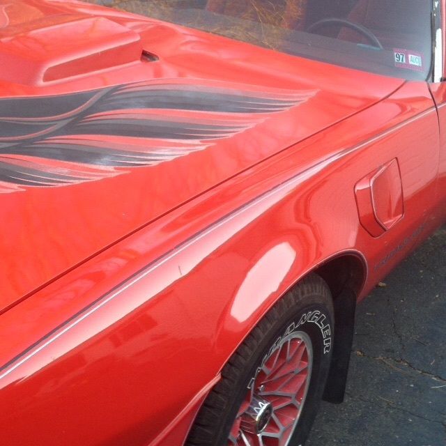 1979 Pontiac Trans Am WS4 - photo 5