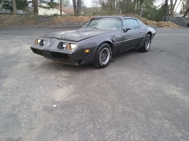 1980 Pontiac Trans Am - photo 11