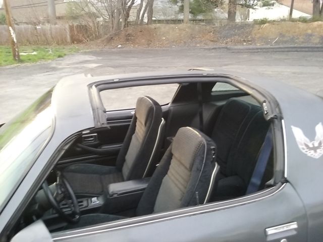 1980 Pontiac Trans Am - photo 12