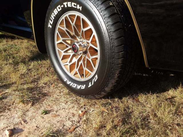 1981 Pontiac Trans Am Bandit - photo 11