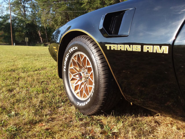 1981 Pontiac Trans Am Bandit - photo 2