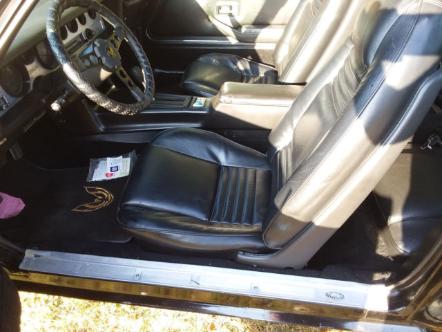 1981 Pontiac Trans Am Bandit - photo 6