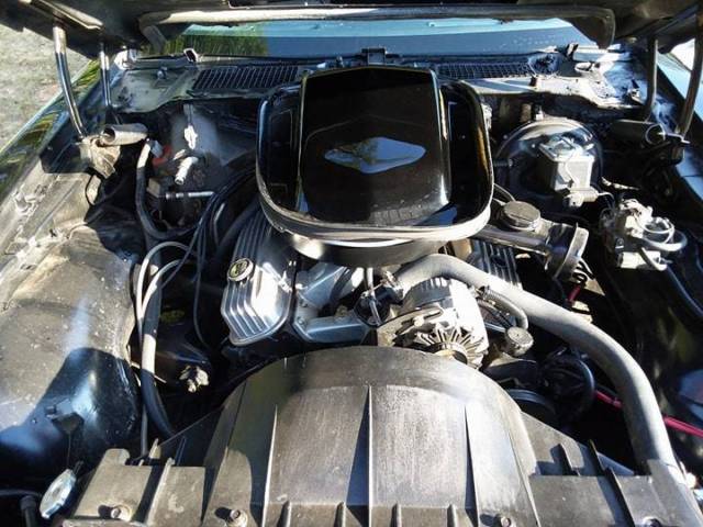 1981 Pontiac Trans Am Bandit - photo 8
