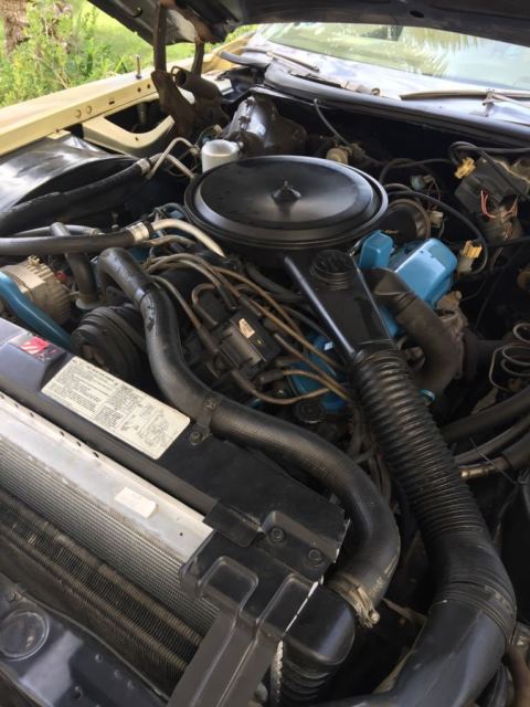 1978 Cadillac Eldorado T-top - photo 8