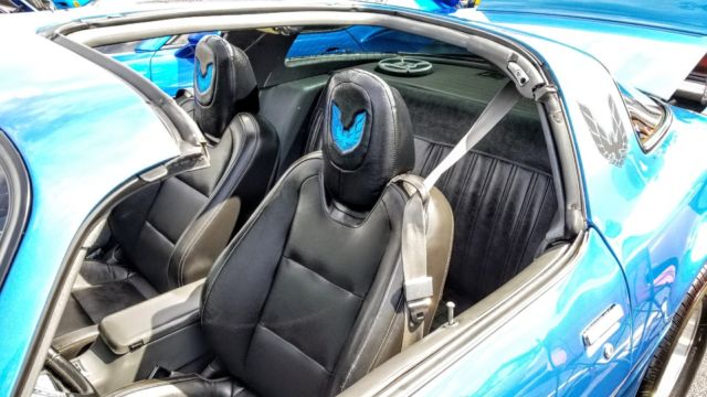 1979 Pontiac Firebird Trans Am - photo 9