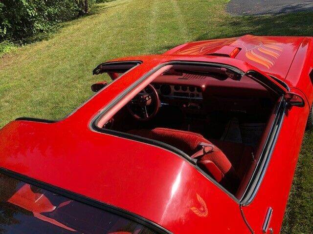 1979 Pontiac Firebird Trans Am - photo 6