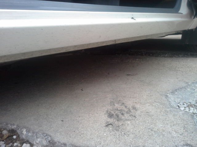 1989 Buick LeSabre T Type - photo 9