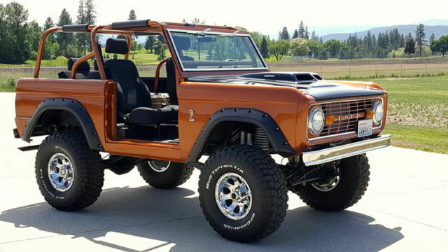 Tall Man Family Cage, Hammerhead Copper Paint, Head Turner! 1970 Ford Bronco