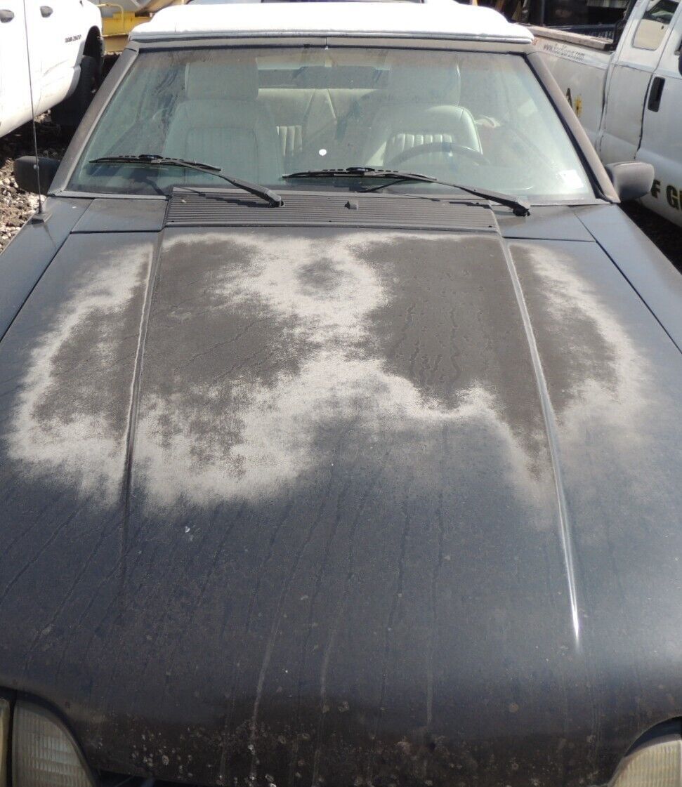 1989 Ford Mustang LX - photo 2