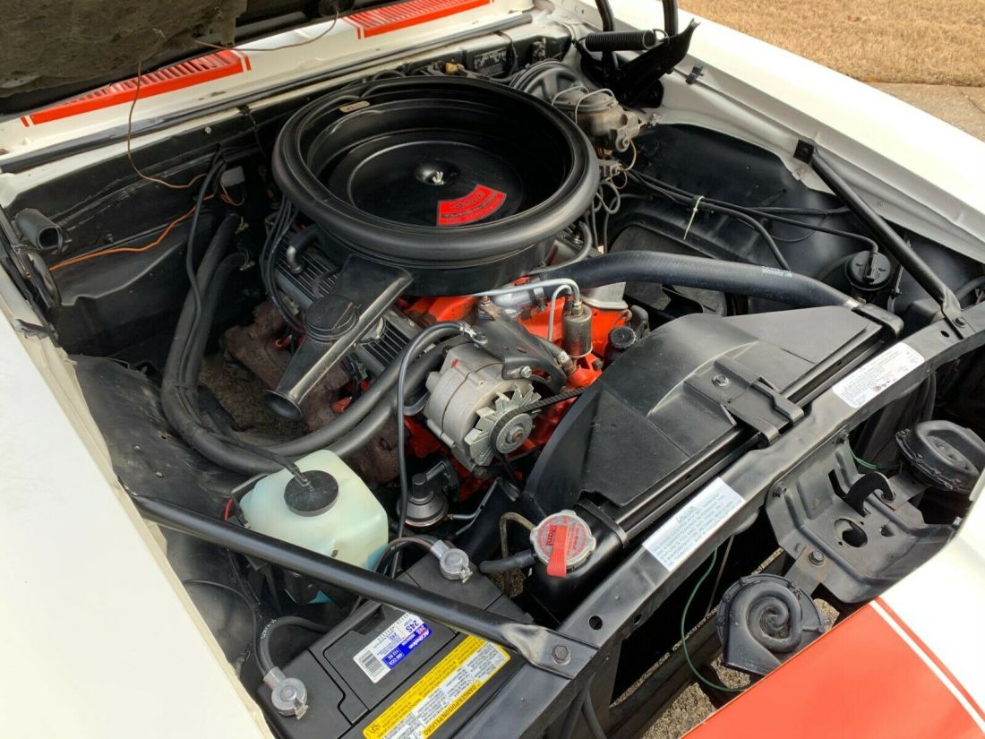 1969 Chevrolet Camaro Z11 Pace Car - photo 9